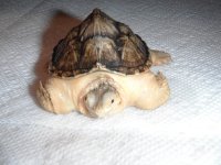 DSCF1770.jpg