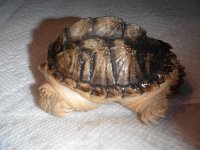 DSCF1771.jpg