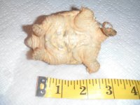 DSCF1773.jpg