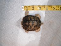 DSCF1769.jpg