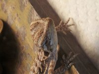 20120808_134045.jpg
