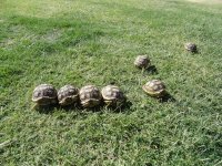 DSC02017.jpg