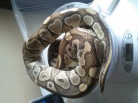 IMG_20120918_115629.jpg