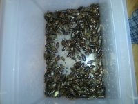 20120913_215532.jpg