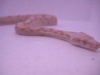 IMG_2771.jpg