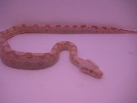 IMG_2776.jpg