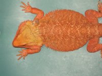 IMG_7692.JPG