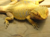 IMG_8165.JPG