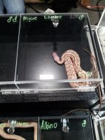 20120812_145051.jpg