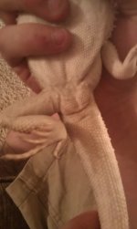 IMAG0574.jpg