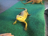 IMG_0712.jpg