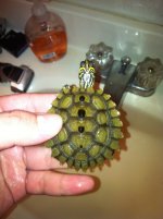 IMG_0078.jpg