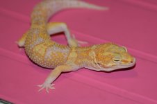 IMG_2805.jpg