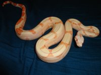 sunglow 004.jpg
