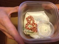 IMG_0208[1].jpg