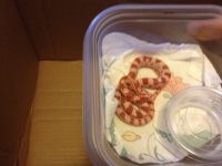 IMG_0209[1].jpg