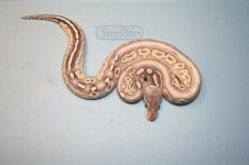 LCBP 4 sale 9-18-12 001.jpg