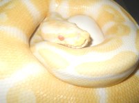 DSCN07832.jpg