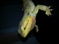 20121016_210041.jpg