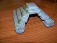 100_4537.jpg