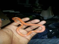 20121106_194240.jpg