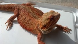 2012-08-06_17-15-29_743.jpg