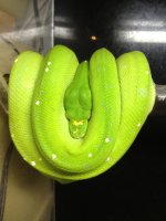 IMG_0152.jpg