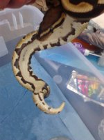 IMG_20120930_160804.jpg
