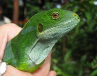 Male profile.jpg