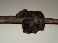 Snake 001.jpg