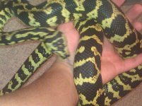 IMG_20121107_235408.jpg