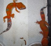 IMG_5605.jpg