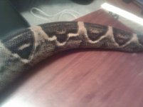 IMG_20121108_001516.jpg