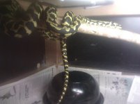 IMG_20121108_004414.jpg