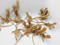 20120904_224200.jpg