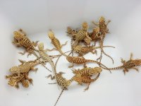 20120904_224220.jpg