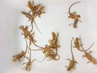 20120904_224031.jpg
