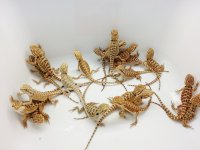 20120904_224215.jpg