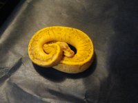 2012-09-30193538.jpg