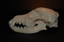 DSC_0047.jpg