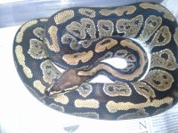 20120618_213103.jpg