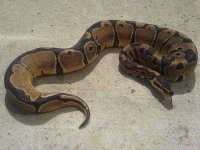 20120907_152909.jpg