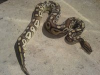 20120907_151715.jpg