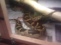 IMG_20121020_142608.jpg