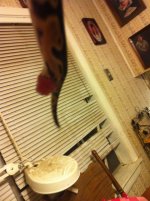IMG_3690.jpg
