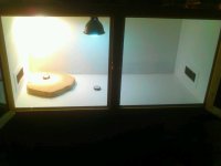 IMG_20121209_212533-1.jpg