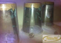small-hornworms-25ct-pod (1).jpg