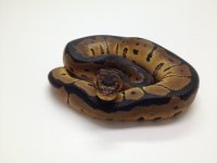Male #3.jpg