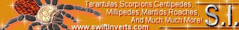 sibanner6.jpg