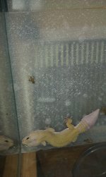 IMAG0178.jpg